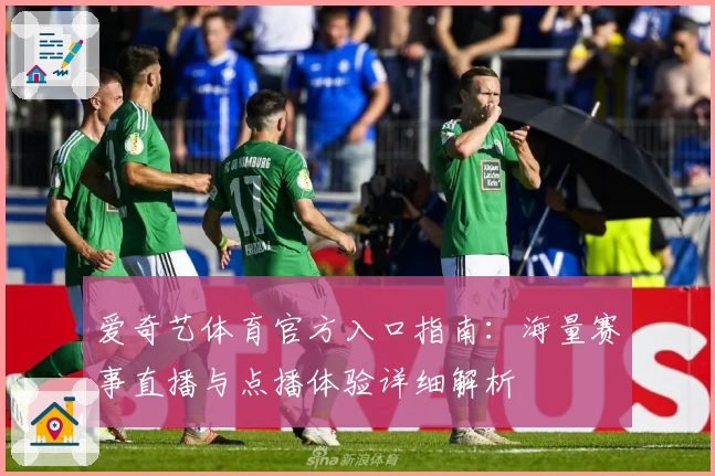 爱奇艺体育官方入口指南:海量赛事直播与点播体验详细解析