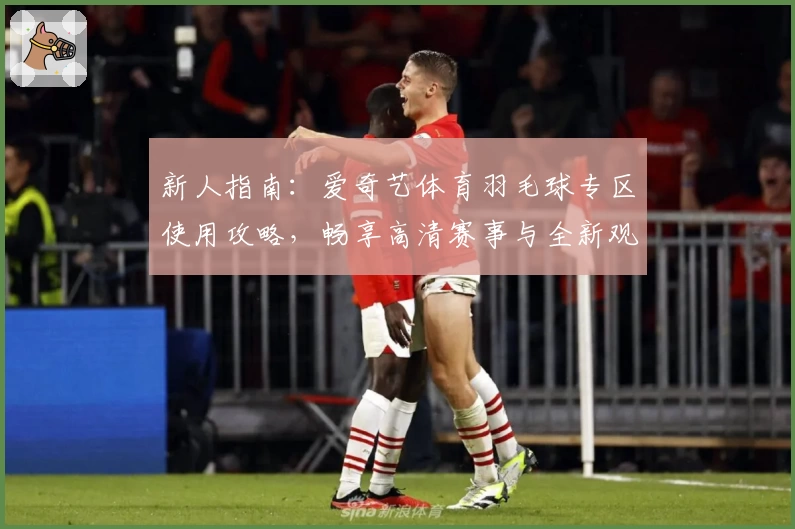 新人指南：爱奇艺体育羽毛球专区使用攻略，畅享高清赛事与全新观赛体验